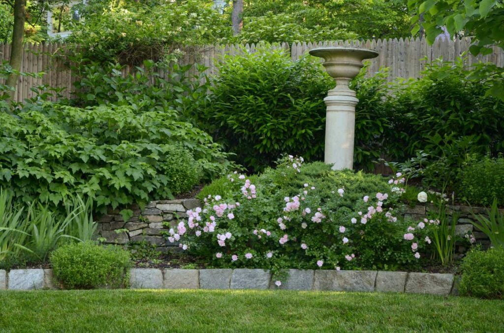An inviting outdoor garden designed to attract birds