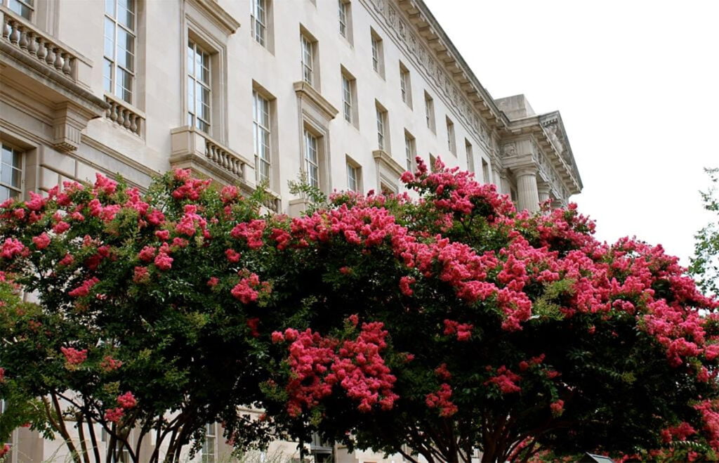 Government building with beautiful flowers outside