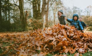 Children playing in leaves